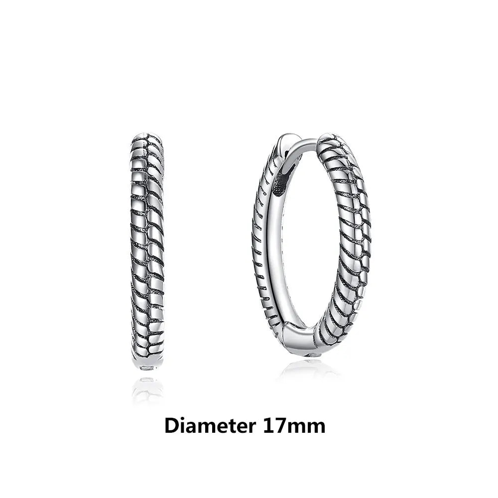 Original 925 Sterling Silver Earrings 2025 Stud Hoop Crystal Earings For Women Rose Gold Crown Heart Infinity Bee Earing Jewelry